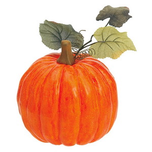 【個人宅配送不可】オハイオパンプキン(L)<BC付>