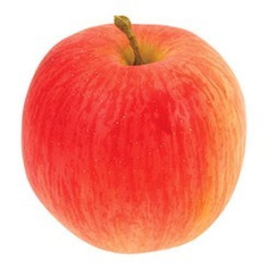 【個人宅配送不可】フジ