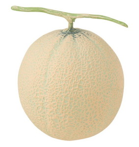 【個人宅配送不可】アンデスメロン