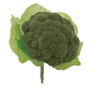 �y�l��z���s�z��ۯ�ذ(4P/�߯�)<BC�t>