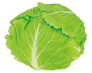 �y�l��z���s�z�گ�������<BC�t>