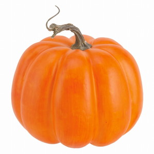 【個人宅配送不可】パンプキン<BC付>