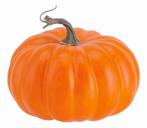 【個人宅配送不可】パンプキン<BC付>