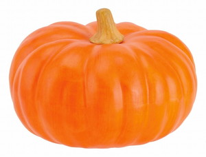 【個人宅配送不可】ラージパンプキン<BC付>