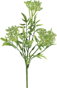 スノーボールブッシュ