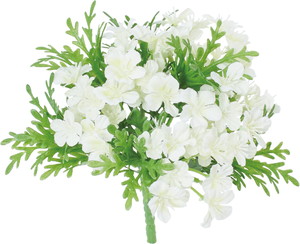 ��̨��ޯ��