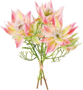 ��ر������