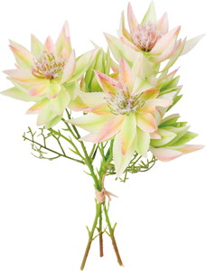 ��ر������