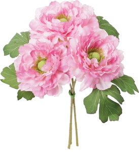 ��ݷ�׽������