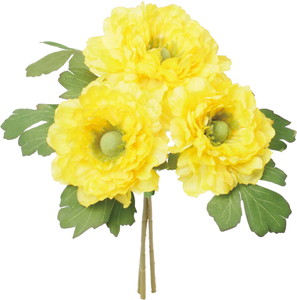 ��ݷ�׽������