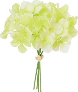 ʲ���ݼޱ������