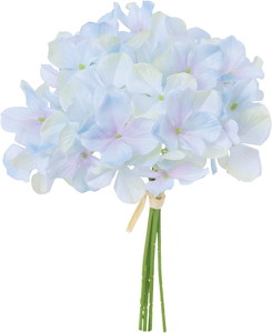 ʲ���ݼޱ������