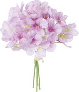 ʲ���ݼޱ������