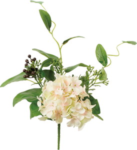 ハイドレンジアミックスブッシュ