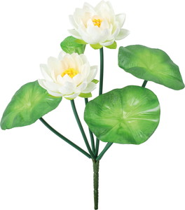 ロータスブッシュ