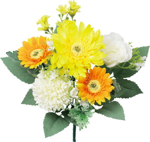 �ް��ױ�ݼ��ޯ��M