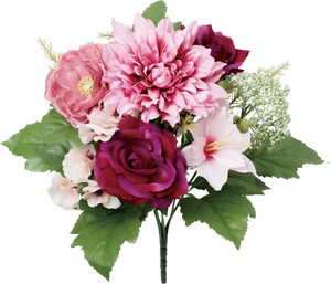 ��ر��ݼ��ޯ��L