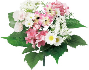 �ް�����ܰ��ݼ��ޯ��L