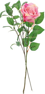 ステップブーケローズ&リーフ