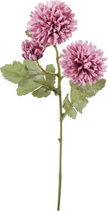 クレールボールマムスプレー