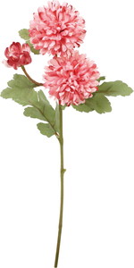 クレールボールマムスプレー