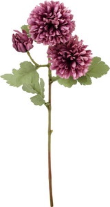 クレールボールマムスプレー