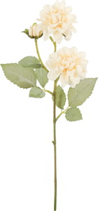 クレールダリアスプレー