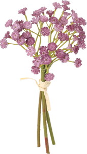 クレールカスミバンドル