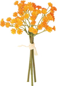 クレールカスミバンドル