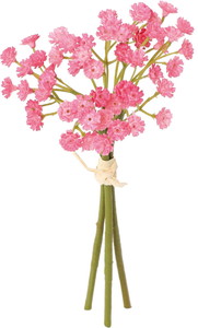 クレールカスミバンドル