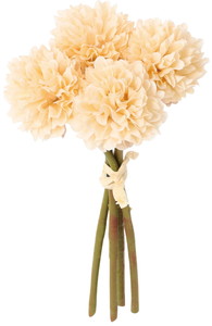 クレールポンポンマムバンドル