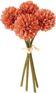 クレールポンポンマムバンドル