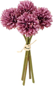 クレールポンポンマムバンドル