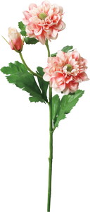 ��̫�ı��Ⱥ��ر