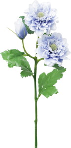 ��̫�ı��Ⱥ��ر