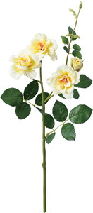 ��̫�Ķް���۰�޽��ڰ