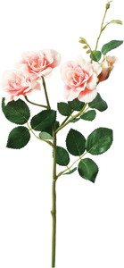 ��̫�Ķް���۰�޽��ڰ