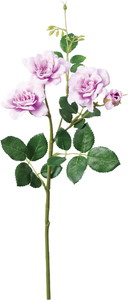 ��̫�Ķް���۰�޽��ڰ