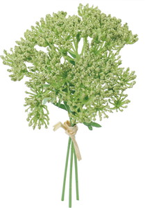 ��̫��ڰ���ܰ������