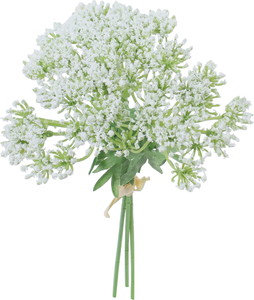 ��̫��ڰ���ܰ������