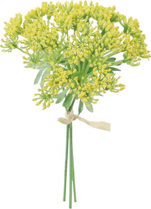 ��̫��ڰ���ܰ������