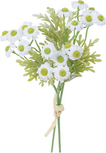 ��̫����ضر������