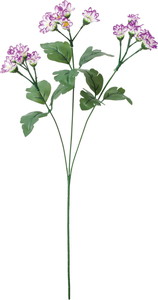 ��޸����-