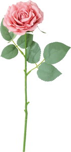 シャルマントローズ