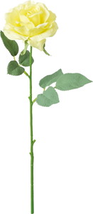 ������۰��