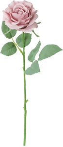 シャルマントローズ