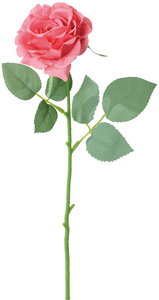 シャルマントローズ