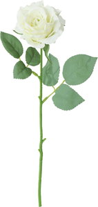 シャルマントローズ