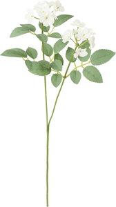 シャルマントポンポンローズスプレー