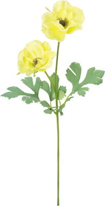 ��������ݷ�׽���ڰ